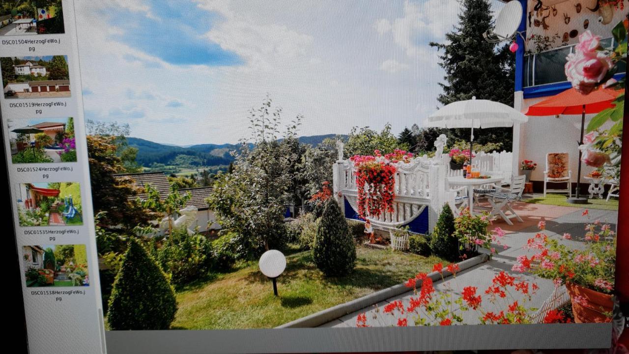 Ferienhaus Haus Herzog Титизее-Нойштадт Экстерьер фото