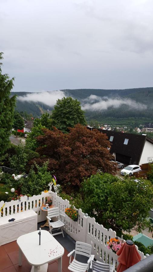 Ferienhaus Haus Herzog Титизее-Нойштадт Экстерьер фото