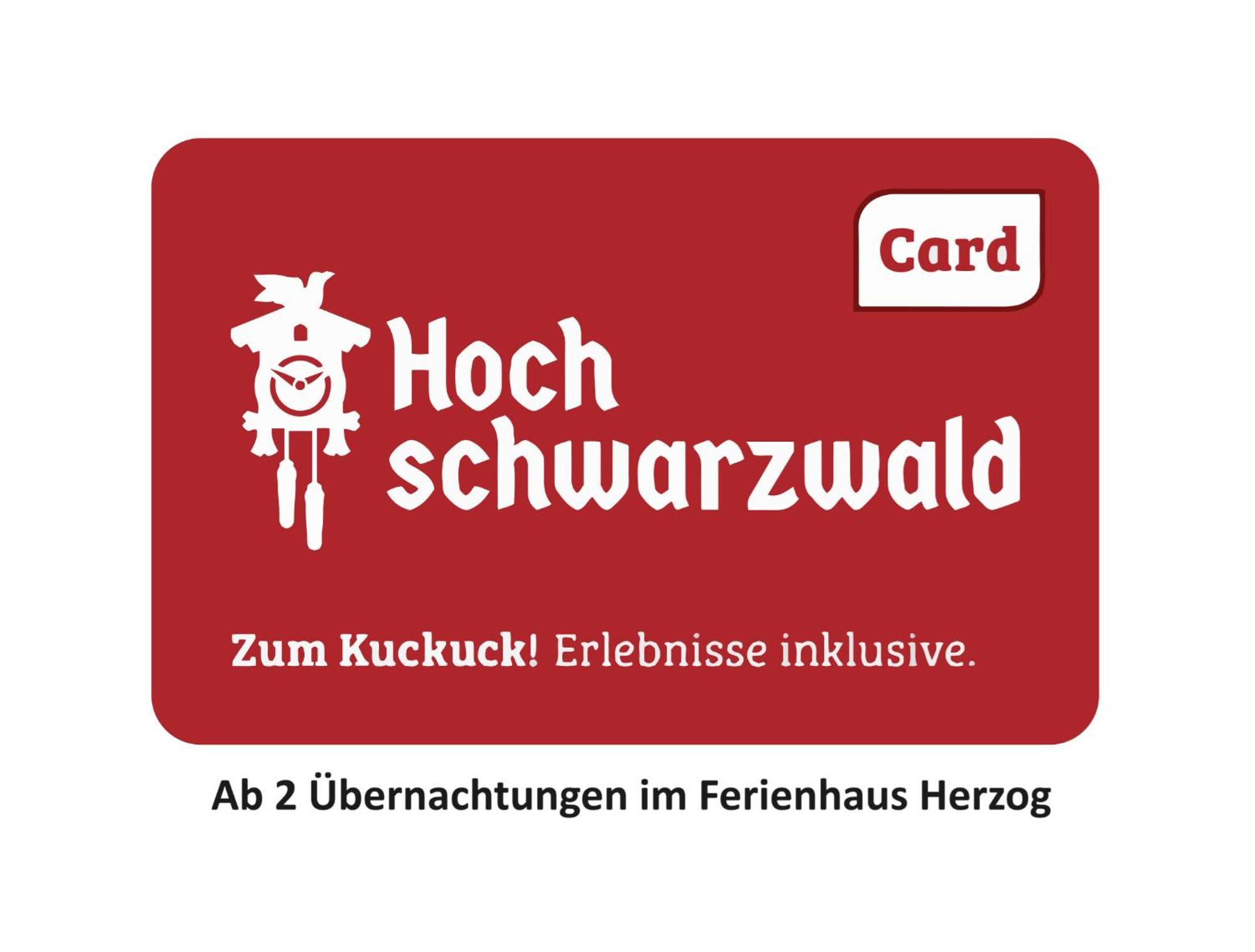 Ferienhaus Haus Herzog Титизее-Нойштадт Экстерьер фото