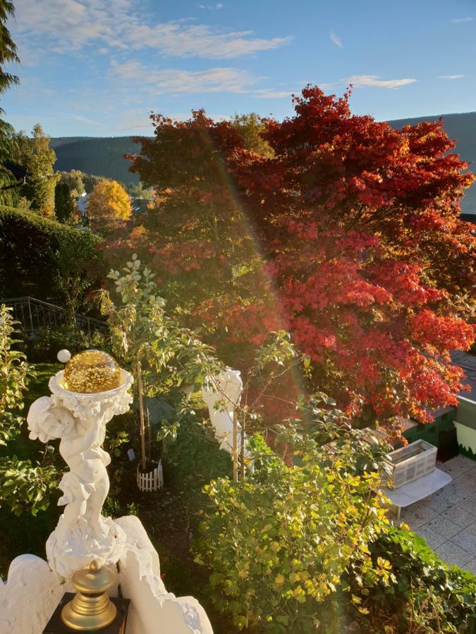 Ferienhaus Haus Herzog Титизее-Нойштадт Экстерьер фото