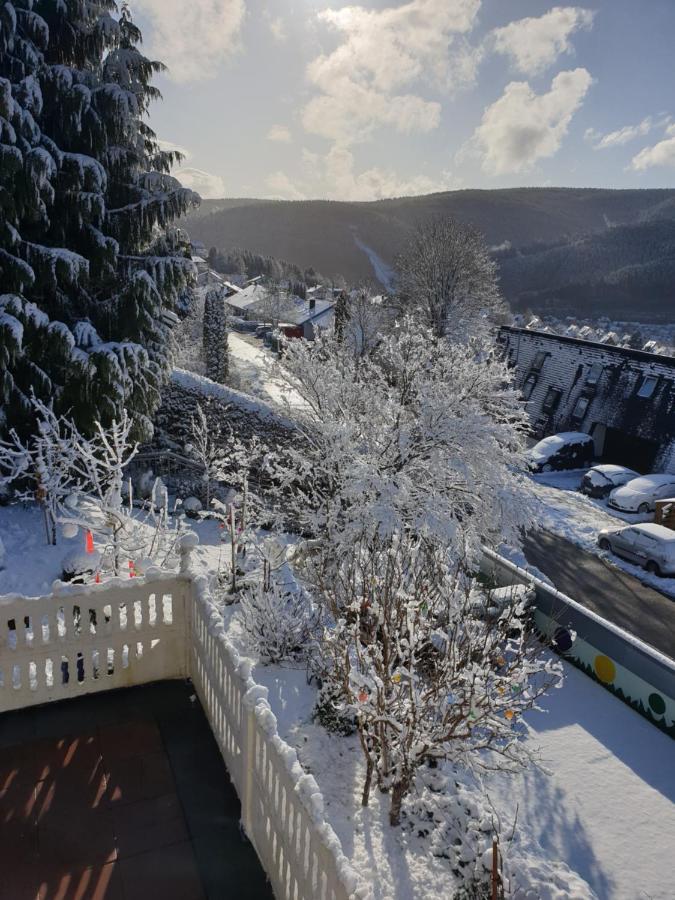 Ferienhaus Haus Herzog Титизее-Нойштадт Экстерьер фото